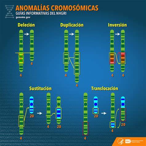 Esquema de las anomalías cromosómicas en el Síndrome de Down