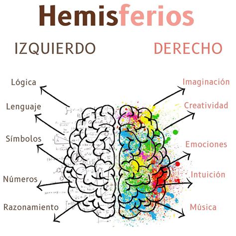 Disección del hemisferio cerebral derecho mostrando el hipocampo, la circunvolución dentada y el fórnix