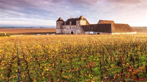 Paisaje de viñedos en Borgoña con un castillo al fondo