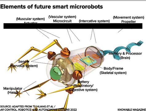 Ilustración conceptual de un microrobot guiando espermatozoides.
