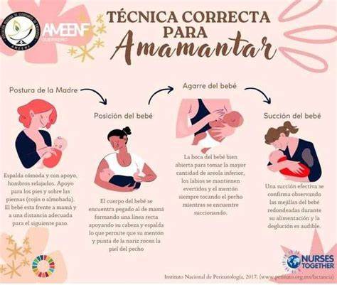 Diagrama explicando visualmente la técnica de lactancia en bloque