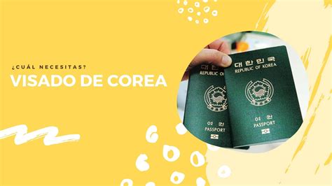 Infografía con los principales tipos de visa para Corea del Sur y sus propósitos