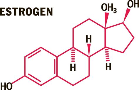 Infografía sobre la estructura química del estrógeno y sus puntos de acción