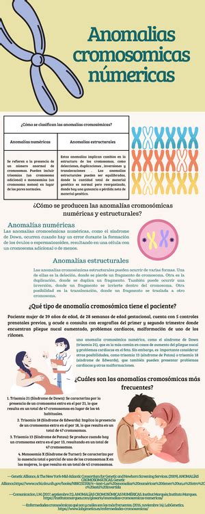 Infografía sobre anomalías cromosómicas en el desarrollo fetal