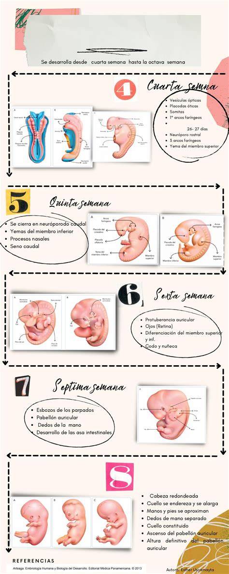 Infografía comparativa: causas de origen embrionario, uterino y sistémico que impiden la implantación.