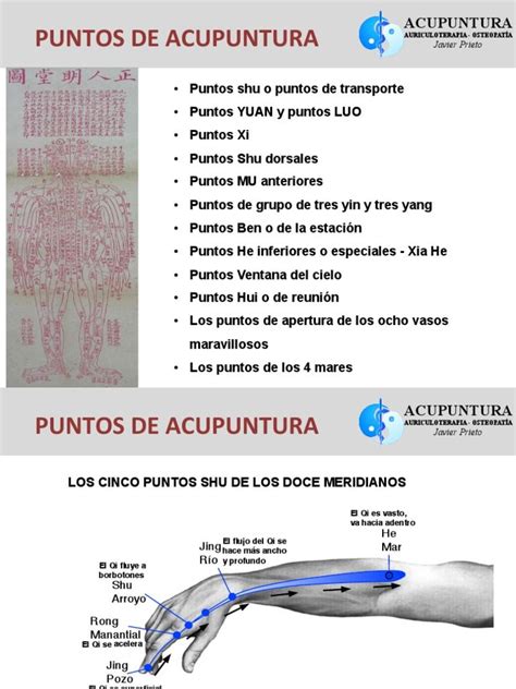 Infografía: % de éxito de la acupuntura en fertilidad o diagramas de puntos de acupuntura para la fertilidad