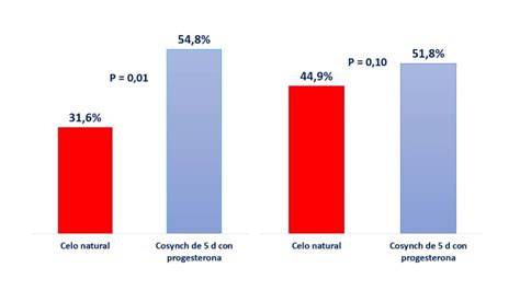 Gráfico: Porcentaje acumulado de novillas gestantes con primera inseminación sincronizada con Cosynch de 5 días versus celo natural