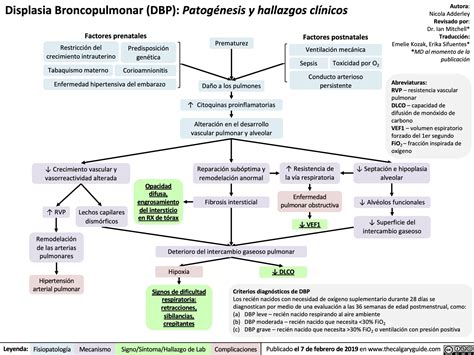 Esquema de la patogénesis multifactorial de la Displasia Broncopulmonar