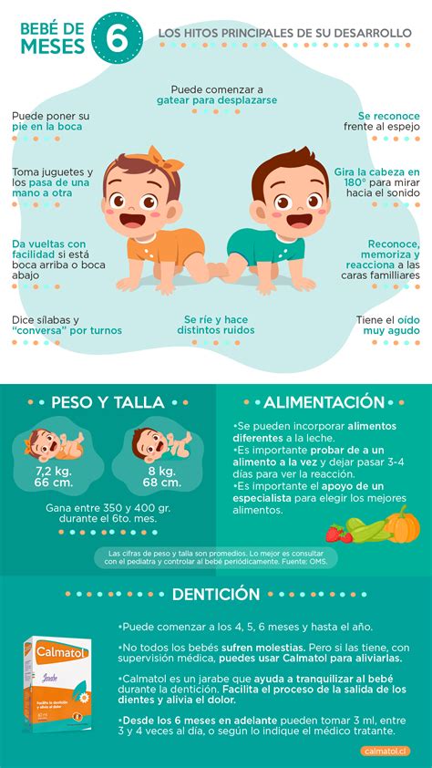 Ilustración de un bebé de 6 meses interactuando con diferentes tipos de alimentos, incluyendo una botella de leche de fórmula.