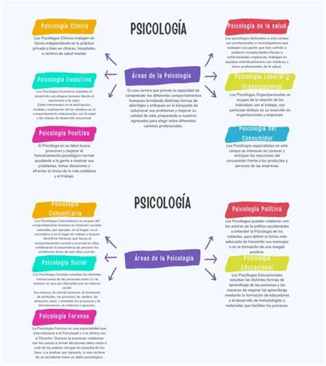 Esquema de las diversas áreas de investigación universitaria