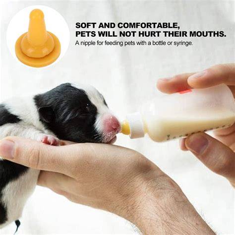 fotografía de un cachorro siendo alimentado con biberón casero