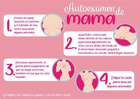 Infografía paso a paso sobre cómo realizar correctamente el autoexamen de mama