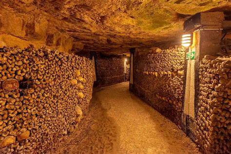 Interior de Las Catacumbas de CVNE, mostrando botellas antiguas cubiertas de moho y una verja de hierro