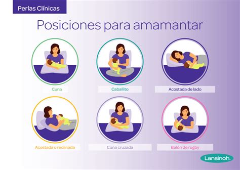 Esquema que muestra la posición correcta del bebé sentado y el vasito o cuchara en el labio superior para alimentación, con flechas indicando el movimiento de lamer.