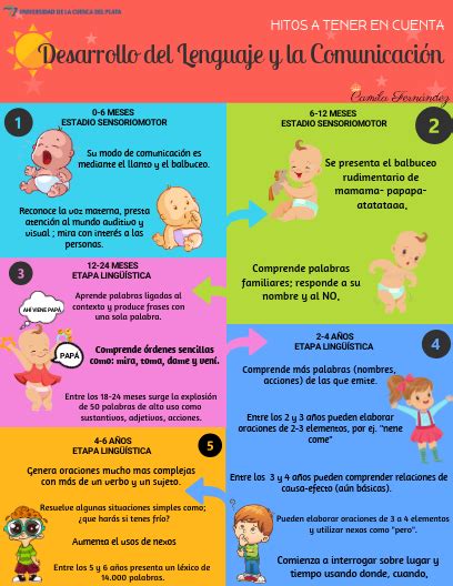 Infografía o esquema sobre el desarrollo del lenguaje y la afectividad en bebés