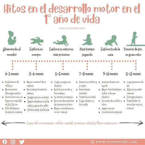 Esquema de las interconexiones en el desarrollo motor infantil
