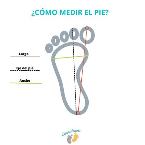 Ilustración paso a paso de cómo medir el pie de un bebé, mostrando la colocación del talón y la marca del dedo más largo.