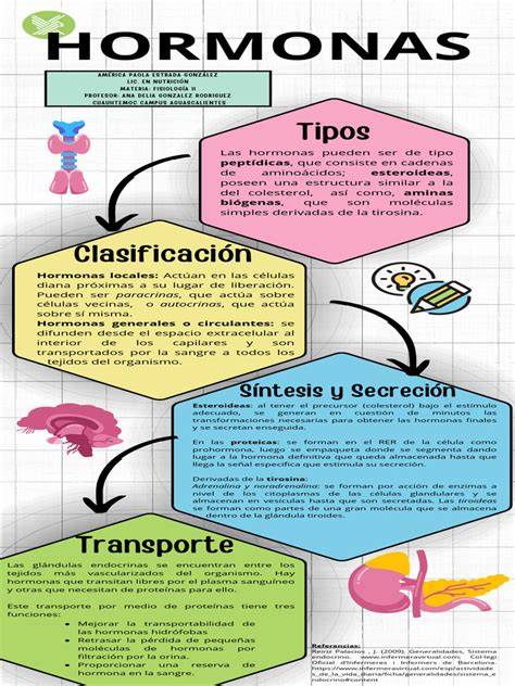 Infografía ilustrando la interacción de las hormonas ováricas (estrógeno, progesterona) con neurotransmisores clave (serotonina, GABA) en el cerebro, resaltando las diferencias en mujeres con TDPM.