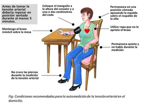Ilustración mostrando la postura correcta para medir la tensión arterial (sentado, espalda apoyada, brazo a la altura del corazón).