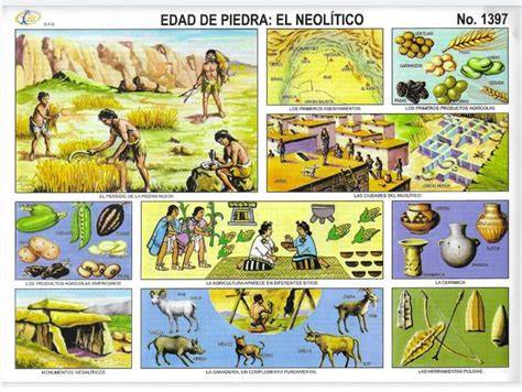 Infografía o ilustración de recipientes de alimentación prehistóricos del Neolítico