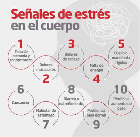 Infografía que muestra la conexión entre el estrés crónico y los cambios en el esperma.