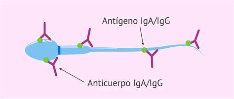 Diagrama de anticuerpos antiespermatozoides atacando espermatozoides