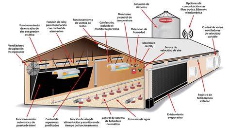 Diseño de una nave de gestación grupal con comederos automatizados