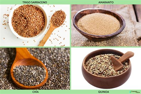 fotografía de diferentes tipos de cereales y pseudocereales adecuados para bebés