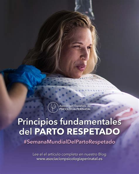Esquema de los cuatro pilares del parto respetado