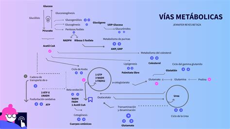Esquema de las vías metabólicas en la diabetes gestacional