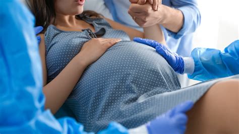 Esquema general del ciclo de la maternidad, incluyendo embarazo, parto, postparto y lactancia