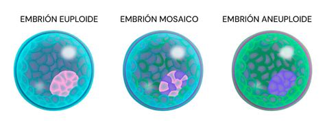 Gráfico de distribución de embriones euploides, aneuploides y mosaicos