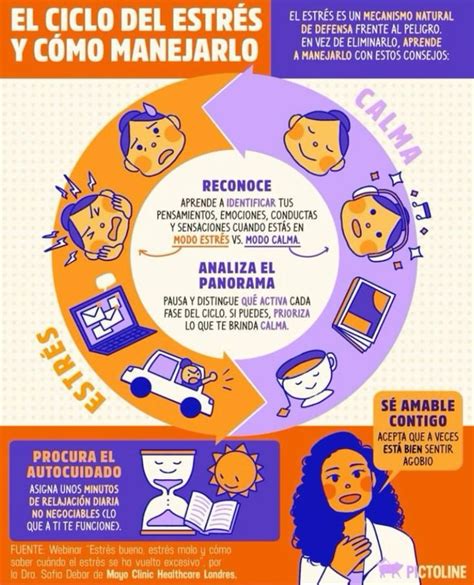 Ilustración representando el ciclo del estrés y su impacto negativo en las células de la piel.