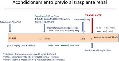 Cronología de hitos en el embarazo post-trasplante renal