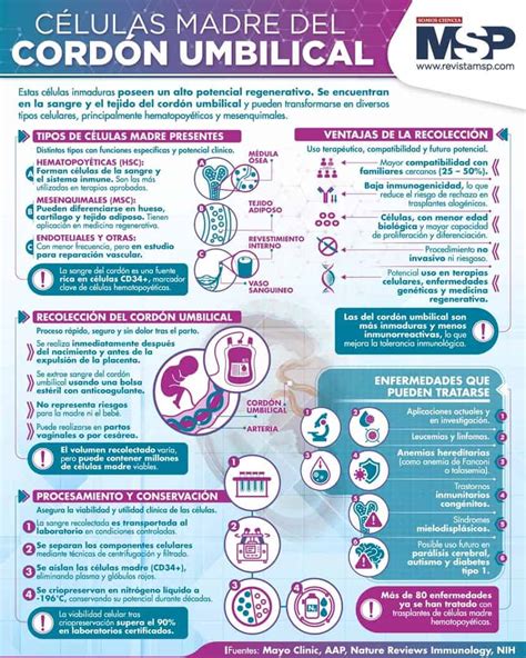 Infografía comparativa de la conservación de células madre del cordón umbilical y otras fuentes.