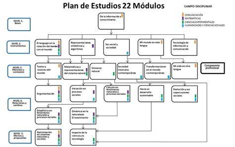 Gráfico de los módulos del plan de estudios de un postgrado perinatal