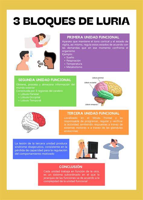 Esquema de los tres bloques temáticos de la formación perinatal