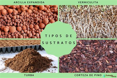 Imagen de los diferentes tipos de sustratos y fertilizantes específicos de BAC