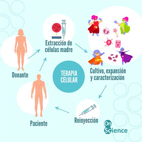 Infografía comparativa de los enfoques de terapia celular para el Parkinson (iPSC vs. hESC)