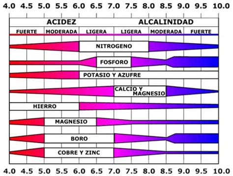 Gráfico ilustrando la disponibilidad de nutrientes en función del pH del suelo.