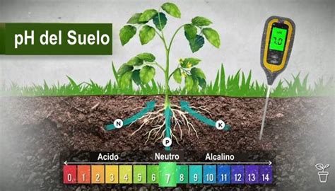 Comparativa de métodos para la medición del pH del suelo.