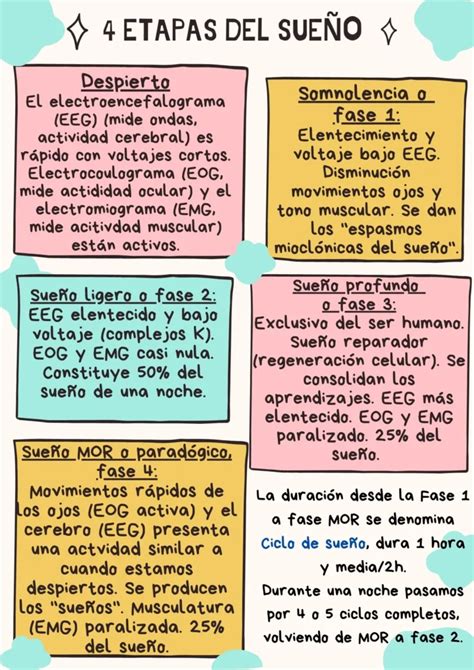 Diagrama que ilustra las diferencias en las fases de sueño (profundo y ligero) entre bebés prematuros y a término