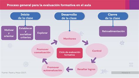 esquema del proceso formativo y requisitos para ser matrona