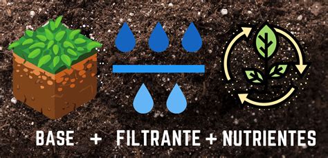 Ilustración o foto de un corte de sustrato con buen drenaje, mantillo de virutas de corteza y raíces de planta