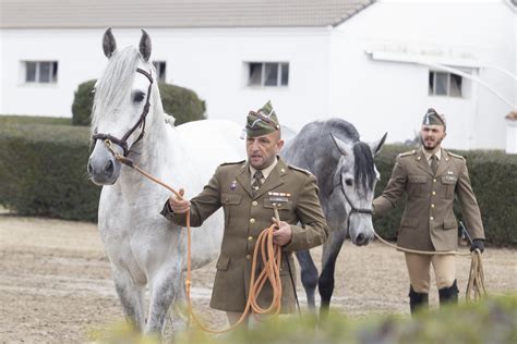 Caballos en el Centro Militar de Cría Caballar durante un entrenamiento
