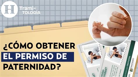 Esquema: Pasos para solicitar el permiso de paternidad online