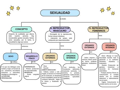 Esquema de las expectativas sociales sobre la sexualidad femenina