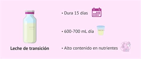 Esquema de transición alimentaria: de la leche materna exclusiva (0-6 meses) a la incorporación progresiva de alimentos sólidos (a partir de los 6 meses).