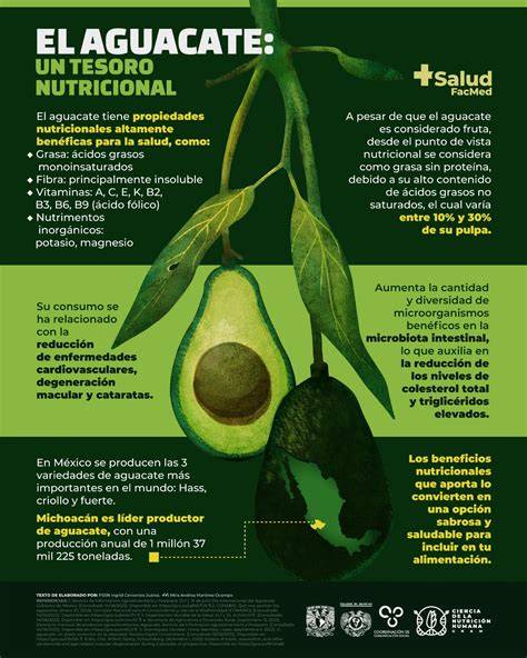 Infografía sobre los beneficios nutricionales del aguacate
