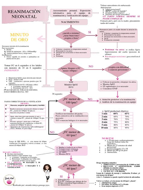 Infografía del algoritmo HBB para reanimación neonatal